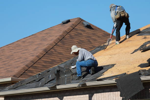 Best Roof Coating and Sealing  in Mount Oliver, PA