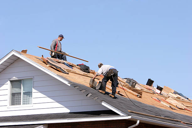 Best Cold Roofs  in Mount Oliver, PA